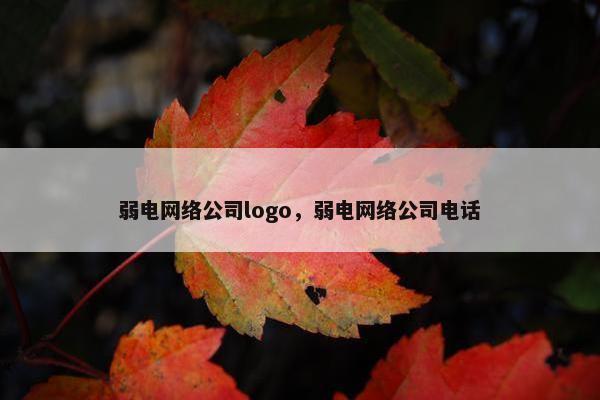 弱电网络公司logo，弱电网络公司电话-第1张图片-冷动云