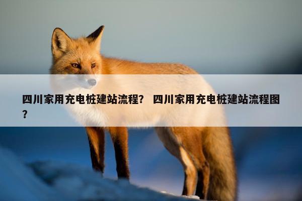 四川家用充电桩建站流程？ 四川家用充电桩建站流程图？-第1张图片-冷动云