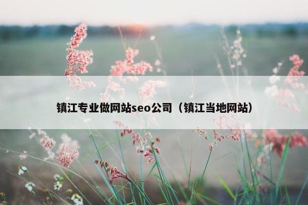 镇江专业做网站seo公司（镇江当地网站）-第1张图片-冷动云