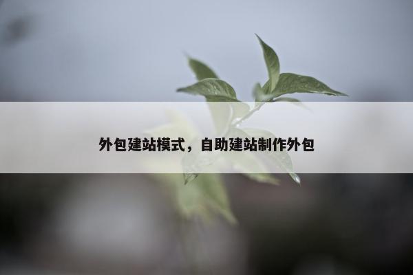 外包建站模式，自助建站制作外包-第1张图片-冷动云