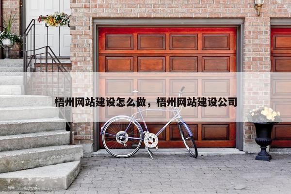 梧州网站建设怎么做，梧州网站建设公司-第1张图片-冷动云