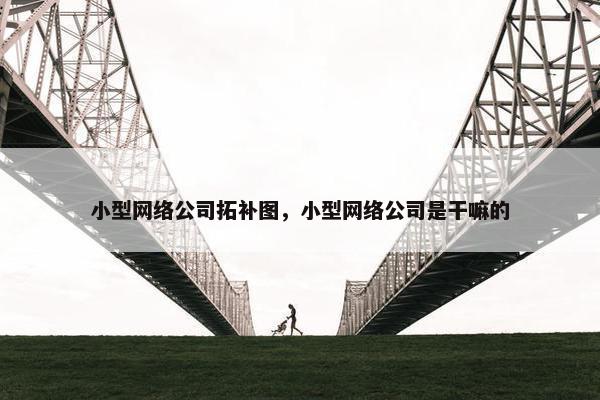 小型网络公司拓补图，小型网络公司是干嘛的-第1张图片-冷动云