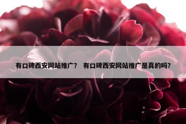 有口碑西安网站推广？ 有口碑西安网站推广是真的吗？-第1张图片-冷动云