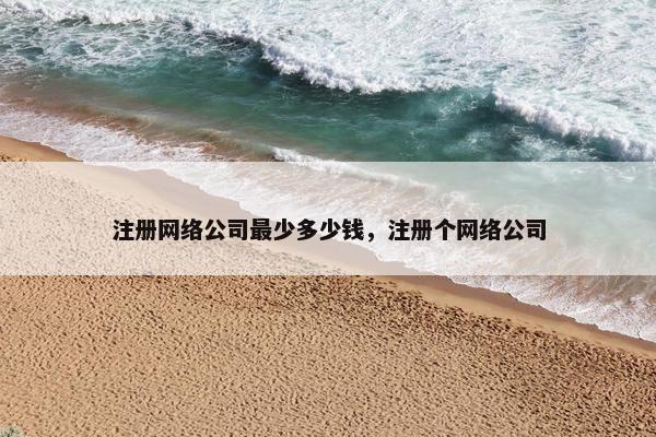 注册网络公司最少多少钱，注册个网络公司-第1张图片-冷动云