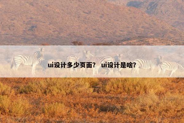 ui设计多少页面？ ui设计是啥？-第1张图片-冷动云