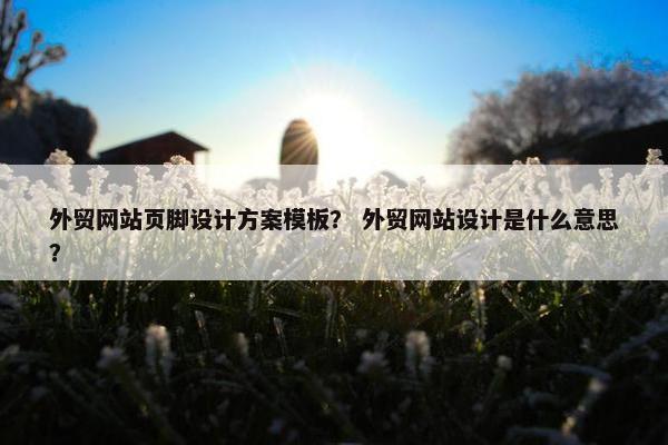 外贸网站页脚设计方案模板？ 外贸网站设计是什么意思？-第1张图片-冷动云