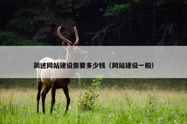 简述网站建设需要多少钱（网站建设一般）-第1张图片-冷动云