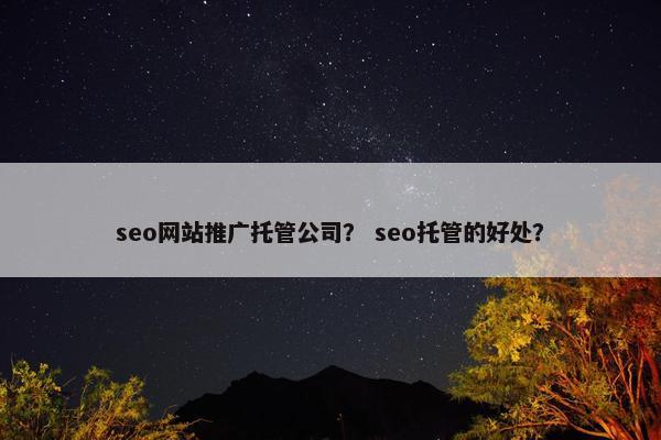 seo网站推广托管公司？ seo托管的好处？-第1张图片-冷动云