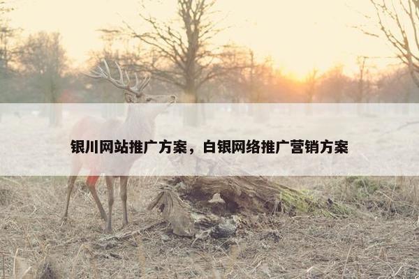 银川网站推广方案，白银网络推广营销方案-第1张图片-冷动云
