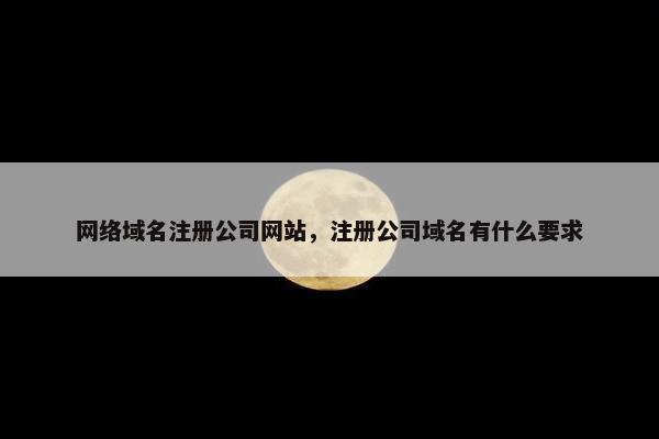 网络域名注册公司网站，注册公司域名有什么要求-第1张图片-冷动云