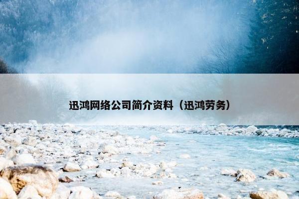迅鸿网络公司简介资料（迅鸿劳务）-第1张图片-冷动云