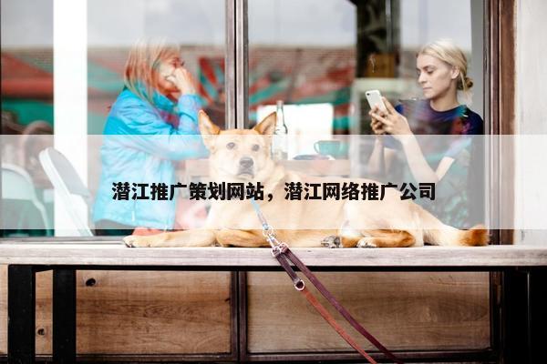 潜江推广策划网站，潜江网络推广公司-第1张图片-冷动云