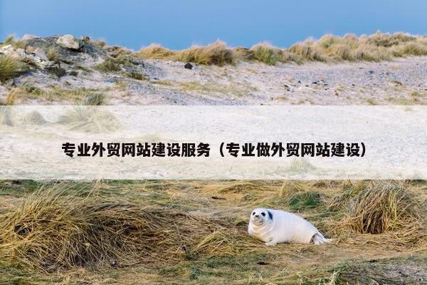 专业外贸网站建设服务（专业做外贸网站建设）-第1张图片-冷动云