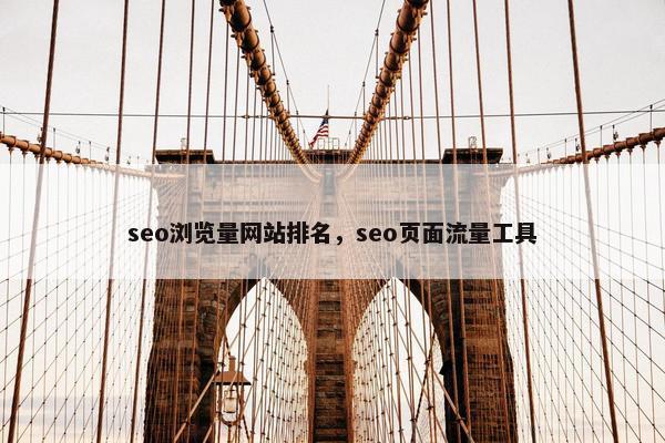 seo浏览量网站排名，seo页面流量工具-第1张图片-冷动云
