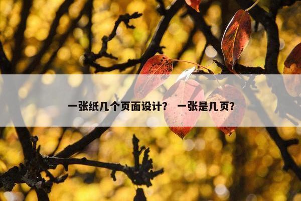 一张纸几个页面设计？ 一张是几页？-第1张图片-冷动云