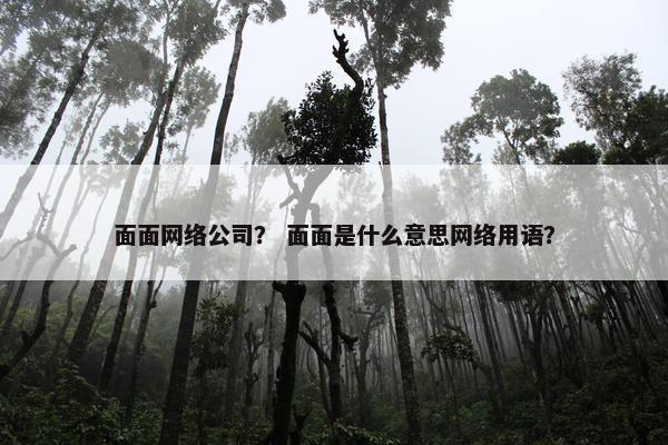 面面网络公司？ 面面是什么意思网络用语？-第1张图片-冷动云