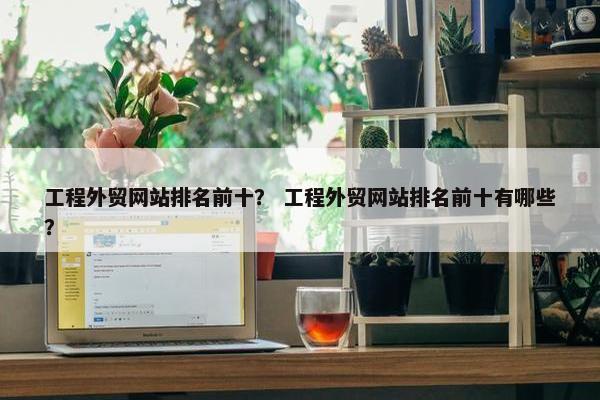 工程外贸网站排名前十？ 工程外贸网站排名前十有哪些？-第1张图片-冷动云