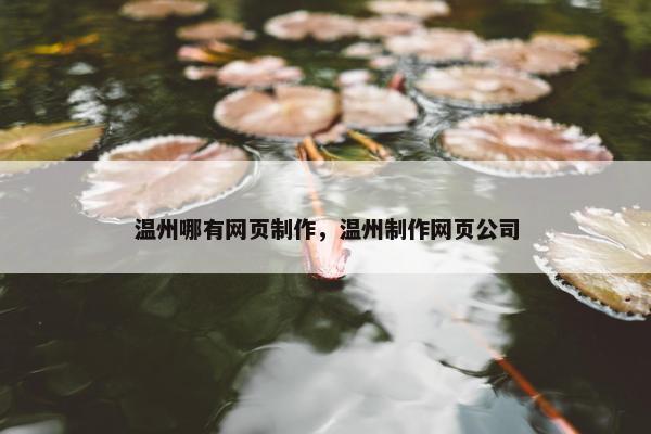 温州哪有网页制作，温州制作网页公司-第1张图片-冷动云