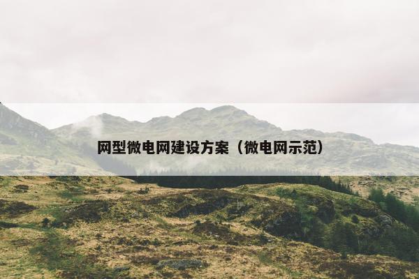 网型微电网建设方案（微电网示范）-第1张图片-冷动云