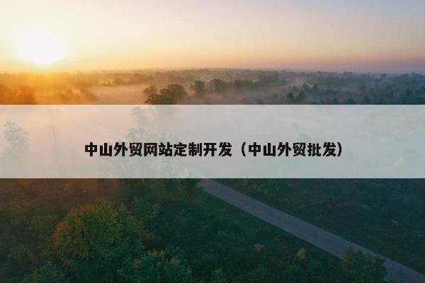 中山外贸网站定制开发（中山外贸批发）-第1张图片-冷动云