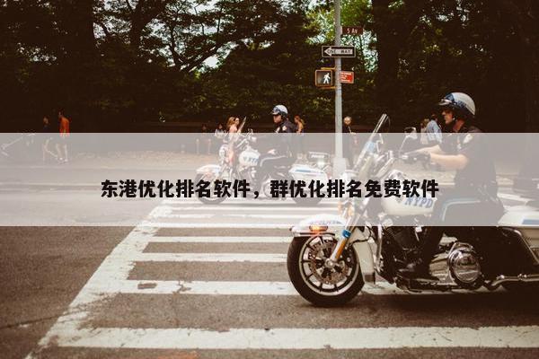 东港优化排名软件，群优化排名免费软件-第1张图片-冷动云