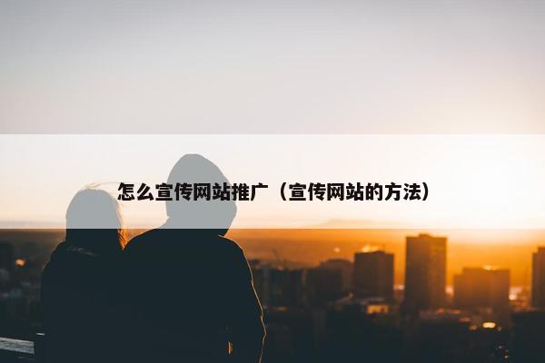 怎么宣传网站推广（宣传网站的方法）-第1张图片-冷动云