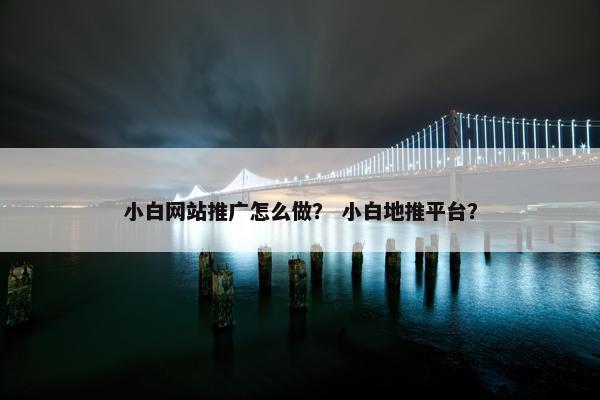 小白网站推广怎么做？ 小白地推平台？-第1张图片-冷动云