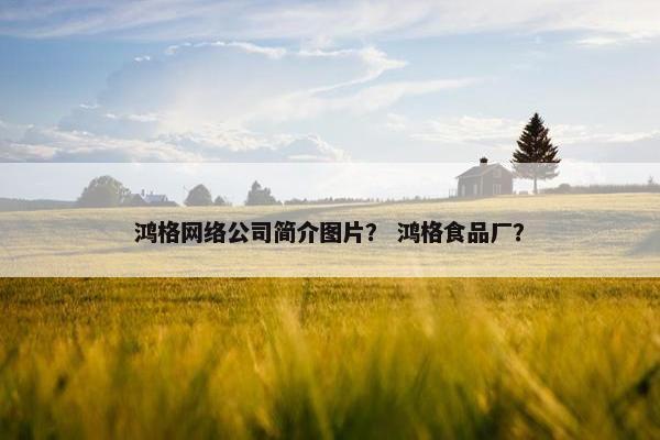 鸿格网络公司简介图片？ 鸿格食品厂？-第1张图片-冷动云