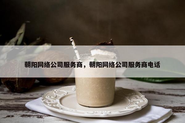 朝阳网络公司服务商，朝阳网络公司服务商电话-第1张图片-冷动云
