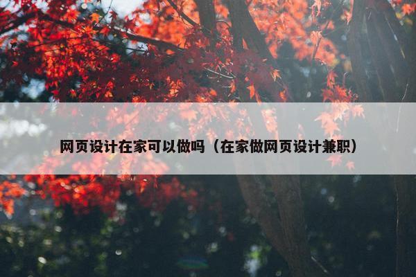 网页设计在家可以做吗（在家做网页设计兼职）-第1张图片-冷动云