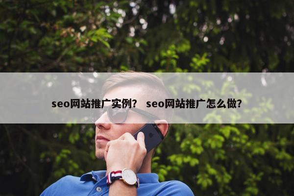 seo网站推广实例？ seo网站推广怎么做？-第1张图片-冷动云