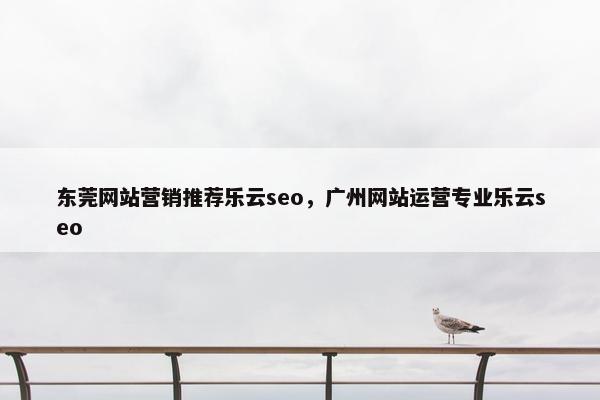 东莞网站营销推荐乐云seo，广州网站运营专业乐云seo-第1张图片-冷动云