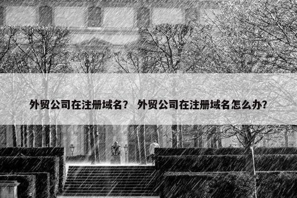 外贸公司在注册域名？ 外贸公司在注册域名怎么办？-第1张图片-冷动云