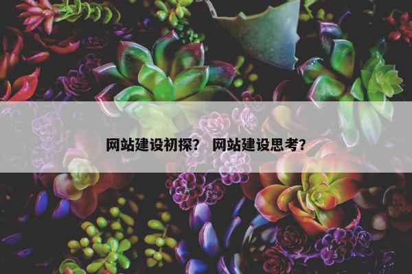 网站建设初探？ 网站建设思考？-第1张图片-冷动云