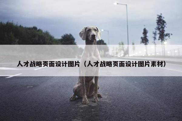 人才战略页面设计图片（人才战略页面设计图片素材）-第1张图片-冷动云