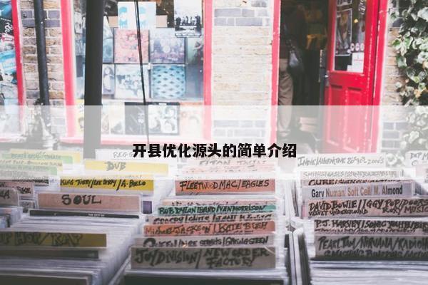 开县优化源头的简单介绍-第1张图片-冷动云