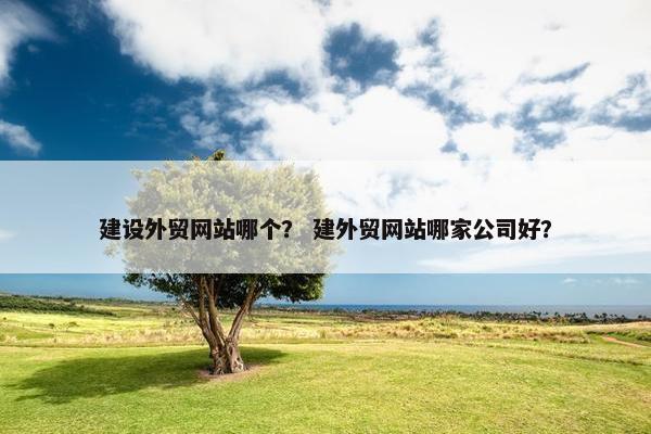 建设外贸网站哪个？ 建外贸网站哪家公司好？-第1张图片-冷动云