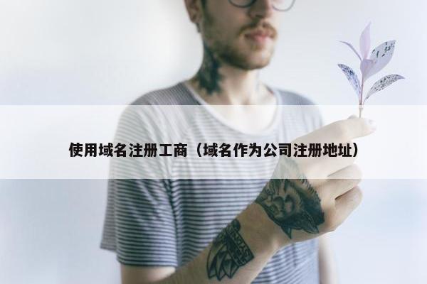 使用域名注册工商（域名作为公司注册地址）-第1张图片-冷动云