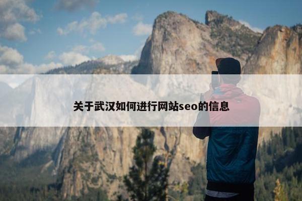 关于武汉如何进行网站seo的信息-第1张图片-冷动云