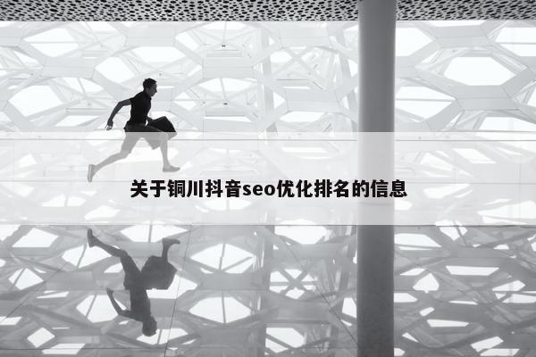 关于铜川抖音seo优化排名的信息-第1张图片-冷动云