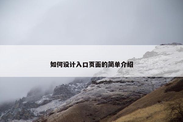 如何设计入口页面的简单介绍-第1张图片-冷动云