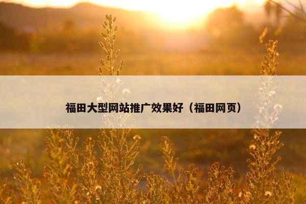 福田大型网站推广效果好（福田网页）-第1张图片-冷动云