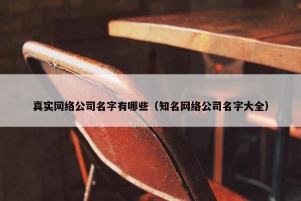真实网络公司名字有哪些（知名网络公司名字大全）-第1张图片-冷动云