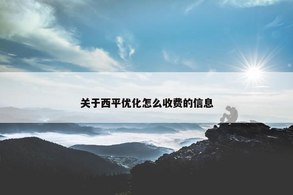关于西平优化怎么收费的信息-第1张图片-冷动云