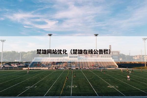 楚雄网站优化（楚雄在线公告栏）-第1张图片-冷动云