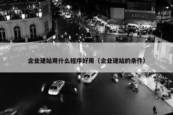 企业建站用什么程序好用（企业建站的条件）-第1张图片-冷动云