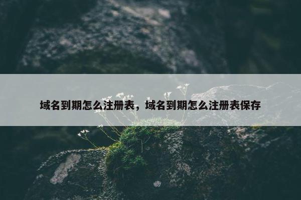 域名到期怎么注册表，域名到期怎么注册表保存-第1张图片-冷动云