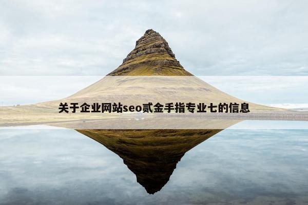 关于企业网站seo贰金手指专业七的信息-第1张图片-冷动云
