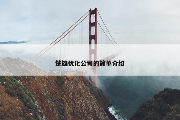 楚雄优化公司的简单介绍-第1张图片-冷动云