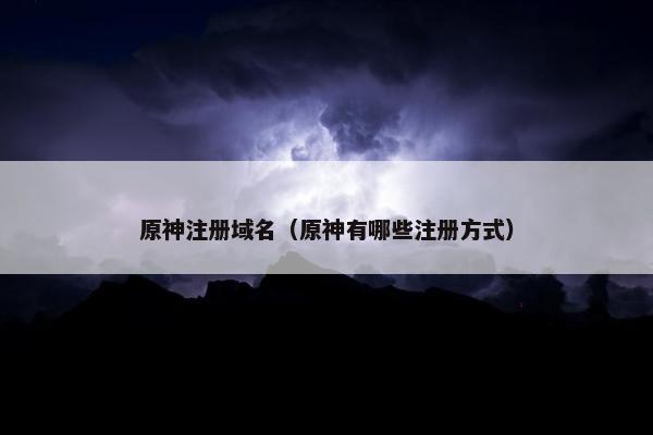 原神注册域名（原神有哪些注册方式）-第1张图片-冷动云